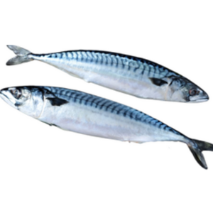 European Salmon 1Kg