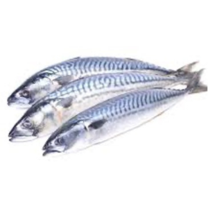 Abidjan Salmon 1Kg