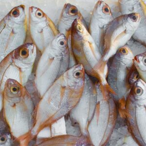 Seafood